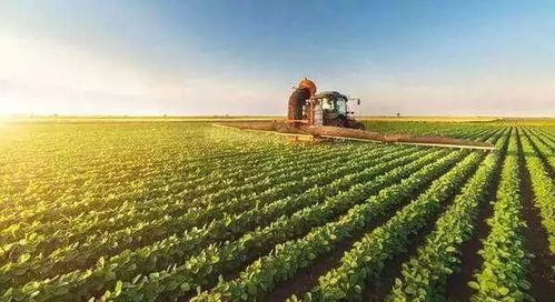 關于開展土地經營權入股發展農業產業化經營試點的指導意見