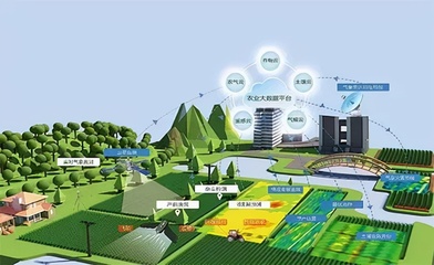 「觀點」盤和林|數(shù)字賦能鄉(xiāng)村振興,融合生產(chǎn)多個環(huán)節(jié)重塑農(nóng)業(yè)