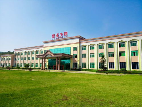 走進大灣區(qū) 菜籃子 生產(chǎn)基地 粵北首家工廠化栽培的食用菌企業(yè)