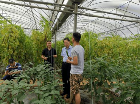 省農(nóng)業(yè)農(nóng)村廳聯(lián)合檢查組在湘西州開(kāi)展農(nóng)產(chǎn)品質(zhì)量安全飛行檢查