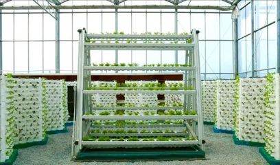 浙江&ldquo;新田鋪&rdquo;智慧農(nóng)業(yè)蔬果工廠 正式投產(chǎn)運(yùn)行