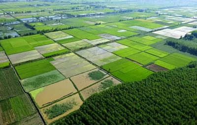 【政策】每畝補(bǔ)貼最多1500元!這項(xiàng)補(bǔ)貼好申請(qǐng),金額高!誰都可以申報(bào)!