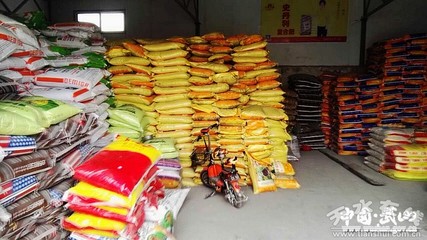 【春耕正當(dāng)時(shí)】武山縣供銷社備足&ldquo;糧草&rdquo;保春耕(圖)--天水在線