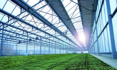 農業也能玩轉高科技,看傳統農業如何向生態農業轉變?