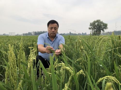 五里源 富硒大米 地域特色產品 優(yōu)質農業(yè)代表