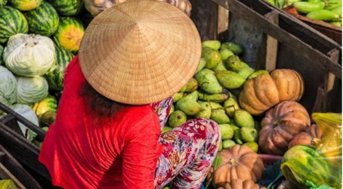 從產品到產業帶 京東助農 萬億產值 路線圖