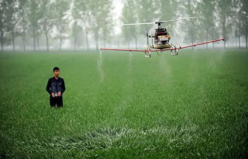 智慧農業(yè)時代,無人機成為新農人標配