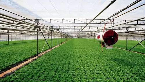 現(xiàn)代農業(yè)讓城市更美好 黨的十八大以來都市現(xiàn)代農業(yè)發(fā)展綜述